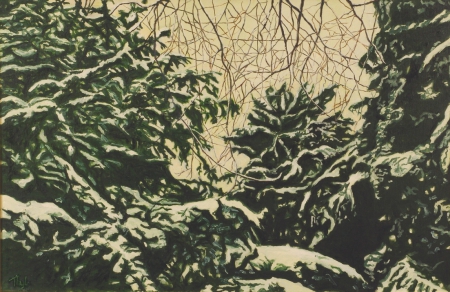 Images trees 120607 016