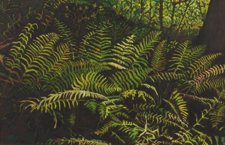Images trees 120607 020