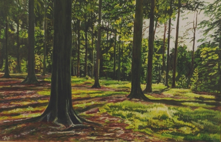 Images trees 120607 022