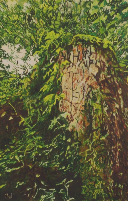Images trees 120607 026