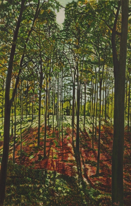 Images trees 120607 026
